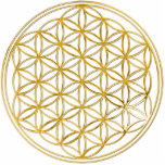 花 – 金ゴールド フォトスカルプチャー<br><div class="desc">スピリチュアルシンボルART by EDDA Frehlich | The Flower of Lifeは、オリジナルの言語である。それは聖なる幾何学の調和と完成を放射し、無限と完全な秩序を表す。</div>
