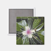 花 開花 植物 色鮮やか デザイン 面白い アート マグネット (正面/裏面)