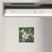 花 開花 植物 色鮮やか デザイン 面白い アート マグネット (インサイチュ (食洗機))