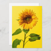 花 |黄色のひまわり サンキューカード (正面/裏面)