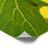 花 |黄色のひまわり ポスター (角)