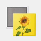 花 |黄色のひまわり マグネット (正面/裏面)