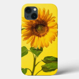 花 黄色のひまわり iPhone 13ケース