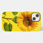 花 | 黄色の背景のひまわり iPhoneケース (裏面横)