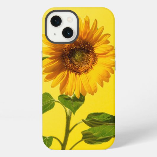 花 | 黄色の背景のひまわり iPhoneケース (裏面)