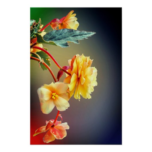 花，黄色の花，花びら ポスター (正面)