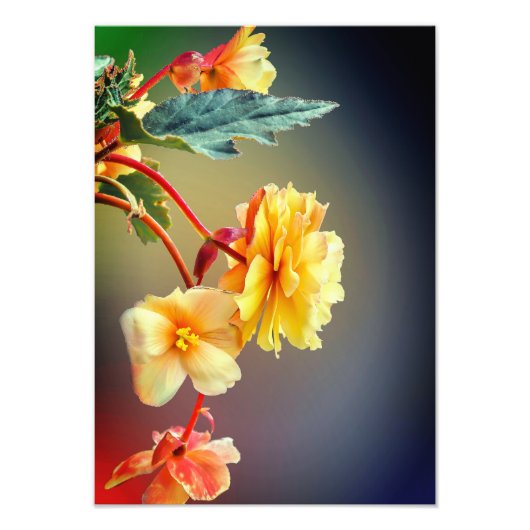 花、黄色の花、花びら-63158 フォトプリント            (正面)