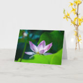 花#0417 カード (黄色い花)