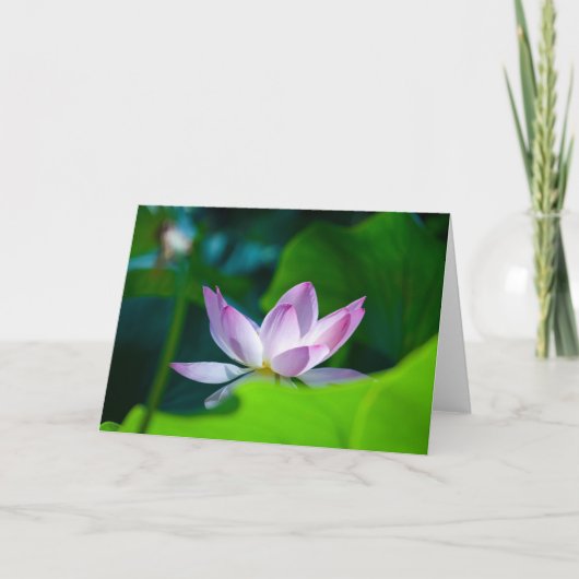 花#0417 カード (正面)