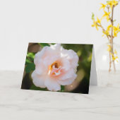 花#0724 カード (黄色い花)