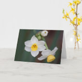 花#1579 カード (黄色い花)