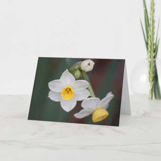 花#1579 カード (正面)