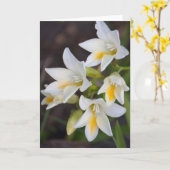 花#1668 カード (黄色い花)