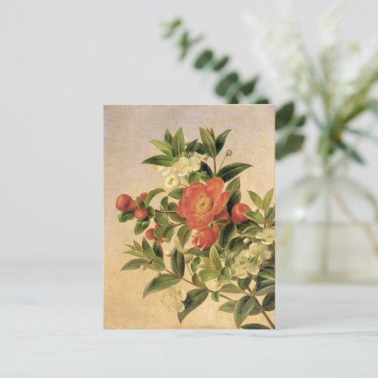 花， 1835 ポストカード (スタンド正面)