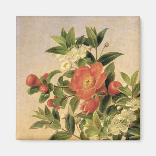 花, 1835 マグネット (正面)