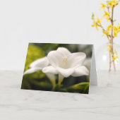 花(#1) カード (黄色い花)
