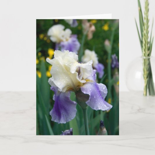 花#2090 カード (正面)