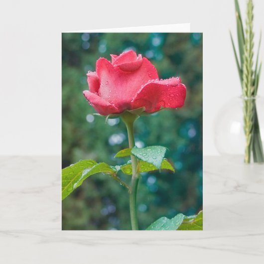 花#2092 カード (正面)