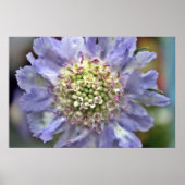 花#3 ポスター (正面)