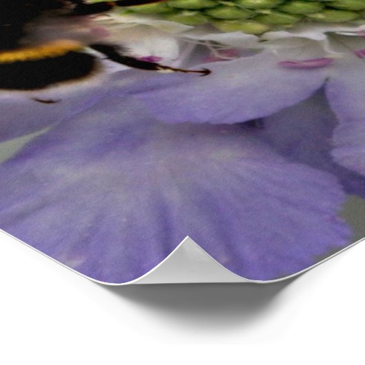 花#6(詳細) ポスター (角)