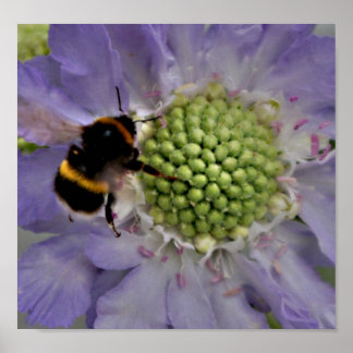 花#6(詳細) ポスター