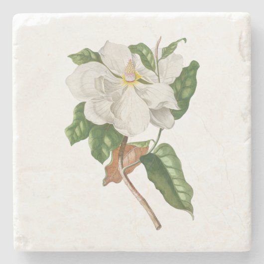 花： A004マグノリア –  ストーンコースター (正面)