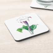 花： A006 Thorn Apple - コースター (左側)