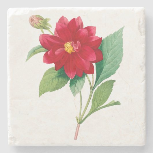 花： A010 Dhalia Doble - ストーンコースター (正面)