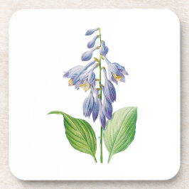 花： A012 Daylily - コースター