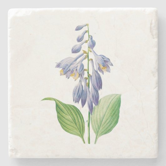 花： A012 Daylily - ストーンコースター (正面)