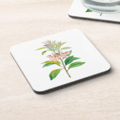 花： A013 Redvein Enkianthus - コースター (左側)