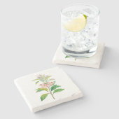 花： A013 Redvein Enkianthus - ストーンコースター (横)