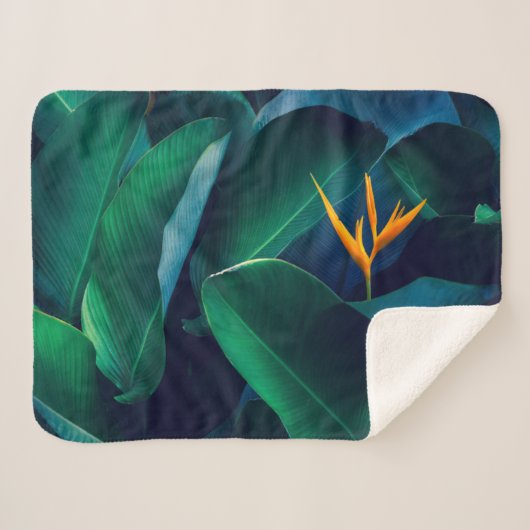 花 | Bird of Paradise シェルパブランケット (正面(横))