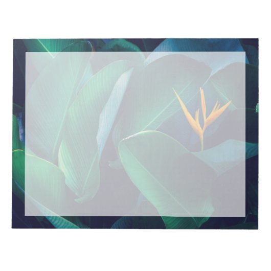 花 | Bird of Paradise ノートパッド (正面)