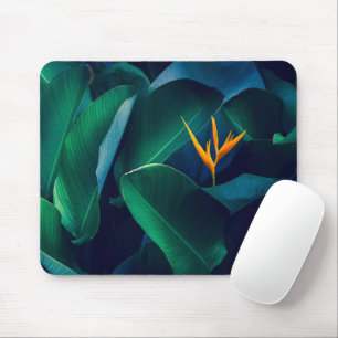 花 Bird of Paradise マウスパッド