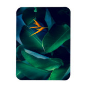 花 | Bird of Paradise マグネット (縦)