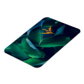 花 | Bird of Paradise マグネット (左側)