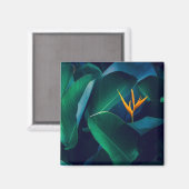 花 | Bird of Paradise マグネット (正面/裏面)