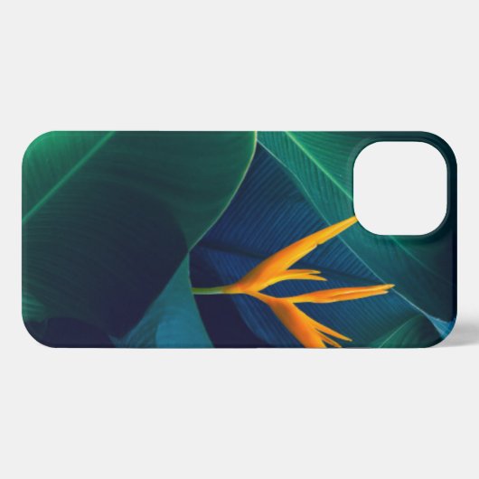 花 | Bird of Paradise iPhoneケース (裏面横)