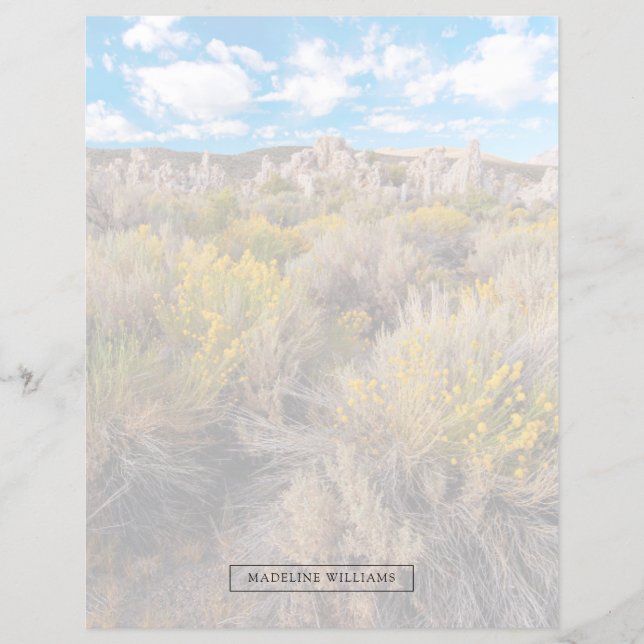 花 | Blooming Sagebrush California (正面)