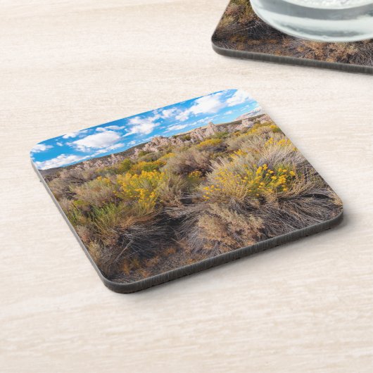 花 | Blooming Sagebrush California コースター (左側)