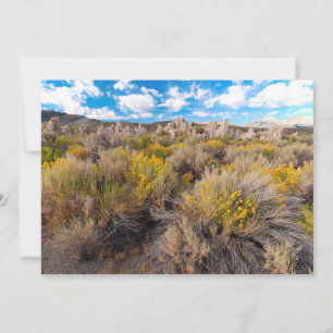 花 Blooming Sagebrush California サンキューカード