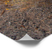 花 | Blooming Sagebrush California ポスター (角)