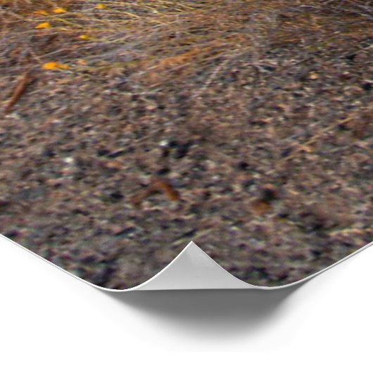 花 | Blooming Sagebrush California ポスター (角)