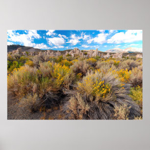 花 Blooming Sagebrush California ポスター