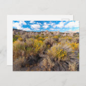 花 | Blooming Sagebrush California ポストカード (正面/裏面)