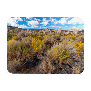 花 Blooming Sagebrush California マグネット