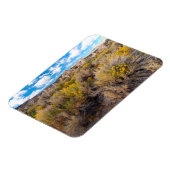 花 | Blooming Sagebrush California マグネット (左側)