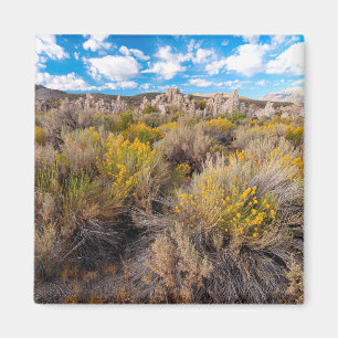 花 Blooming Sagebrush California マグネット