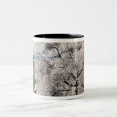 花、Bois le Roiの果樹 ツートーンマグカップ (中央)